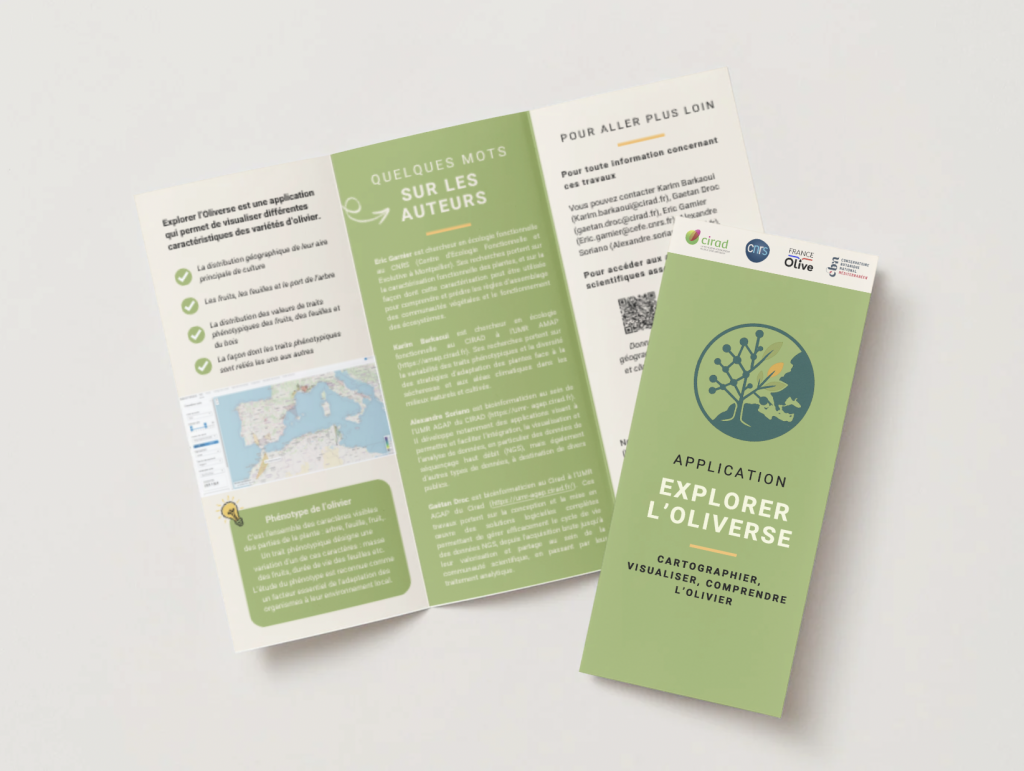 Dépliant de présentation